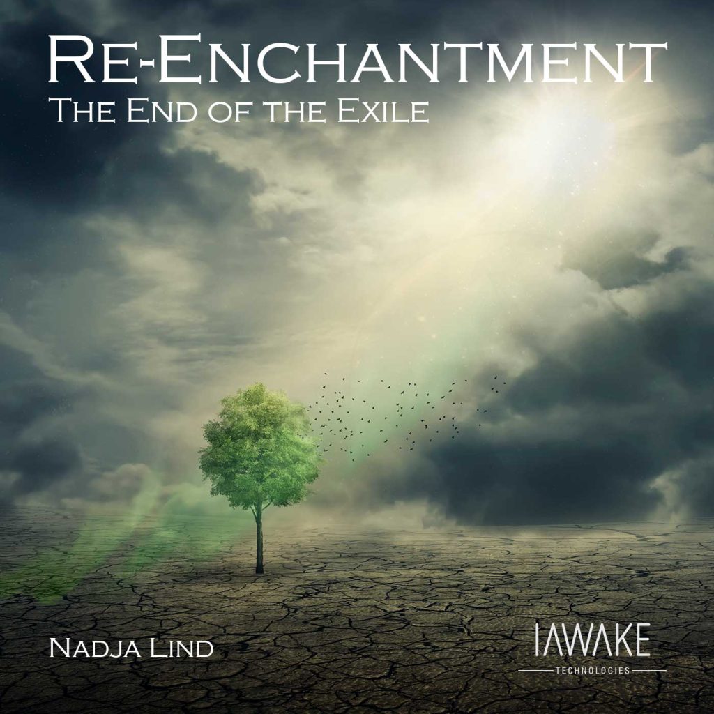 Cover Art of Re-enchantment from iAwake Technologies