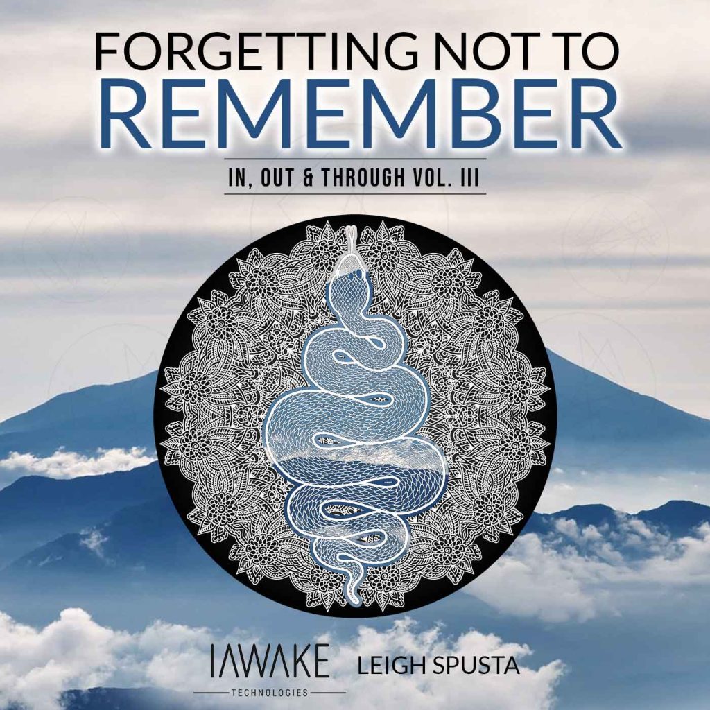 Cover Art of Forgetting Not to Remember from iAwake Technologies