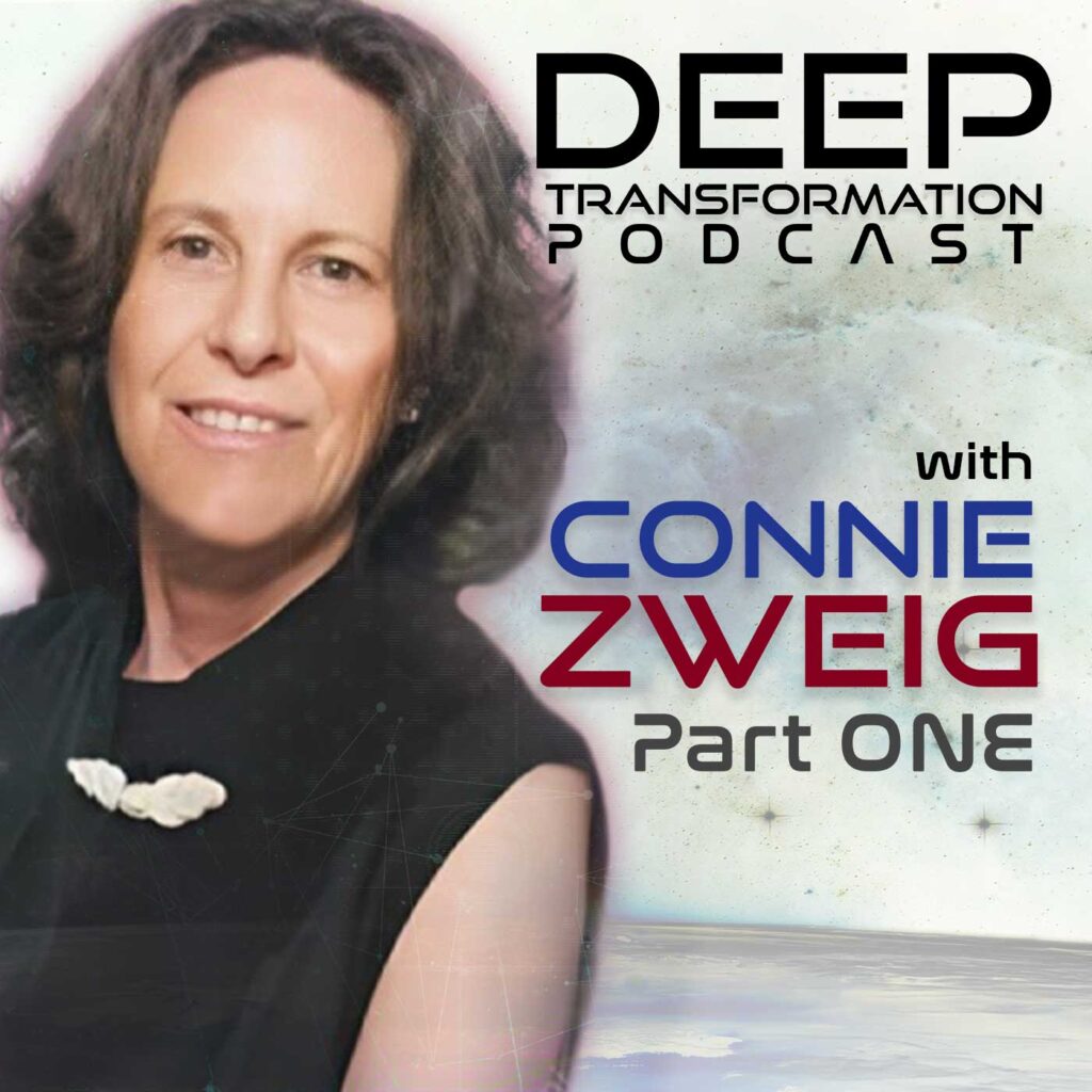 Connie Zweig Meeting the Shadow