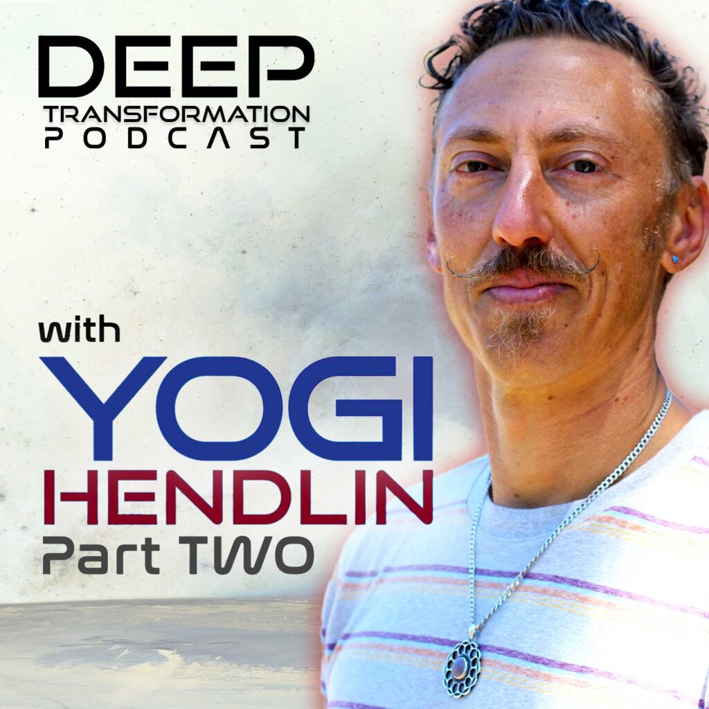 Yogi Hendlin Corporate Values Corporate Malfeasance Decolonization