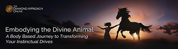 Ridhwan School Course Diamond Approach Embodying the Divine Animal