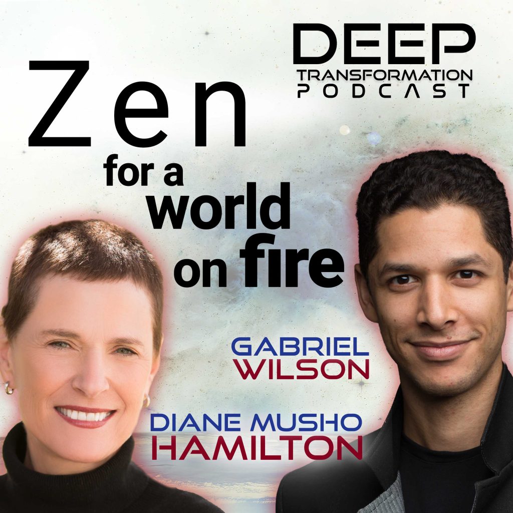 Diane Musho Hamilton Gabriel Wilson Zen Waking Up Growing Up