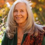 Karen Johnson Diamond Approach The Jeweled Path Series